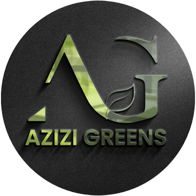 Tip’s about Real Estate Recent Conditions from Agent.